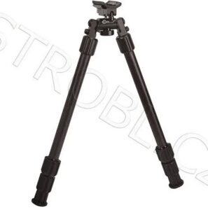 Caldwell-1095201