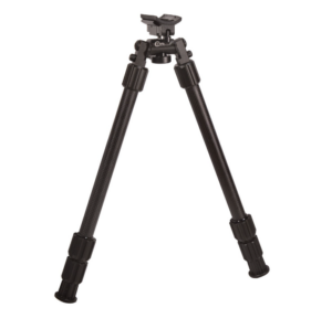 CALDWELL 1095201